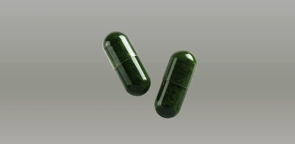 Cómo tomar moringa: dosis, formato y mejor momento - Aldous - ES