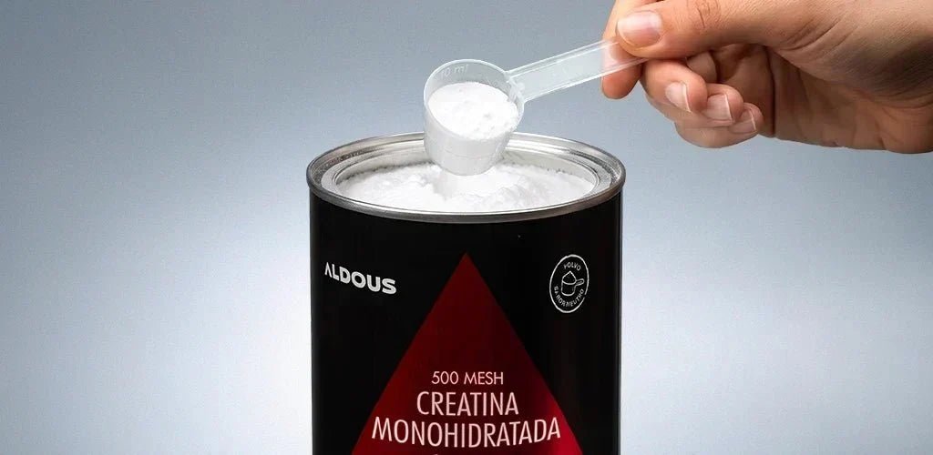 Creatina en polvo o comprimidos: ¿qué formato elegir? - Aldous - ES