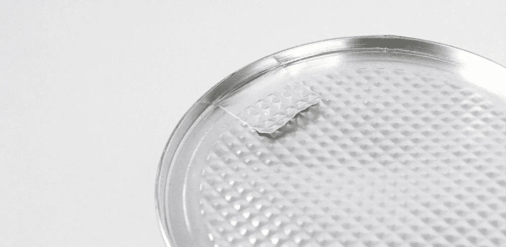 ¿Por qué son mejores los envases de metal que los de plástico? - Aldous - ES