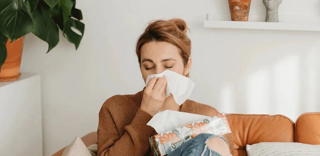 Qué enfermedades se curan con la cúrcuma - Aldous - ES