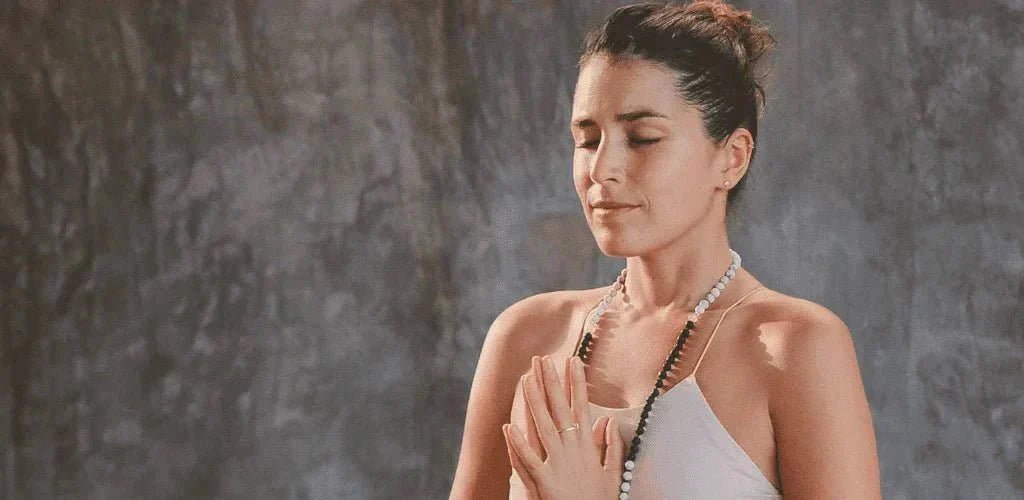 Qué es la Ashwagandha y para qué sirve - Aldous - ES