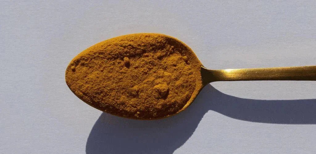 Qué es la cúrcuma y para qué sirve - Aldous - ES
