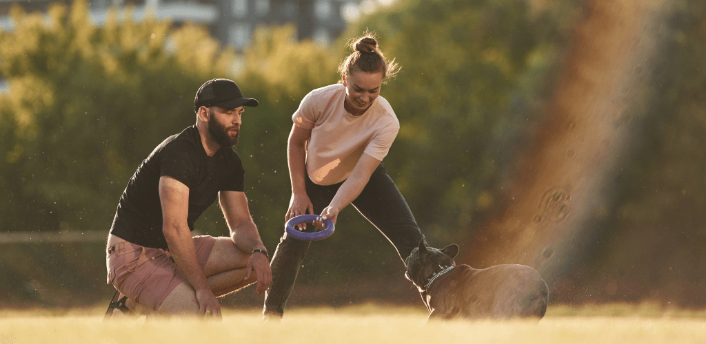 Qué es la vitamina D y para qué sirve - Aldous - ES