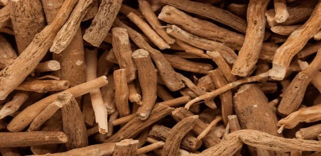 ¿Qué planta es la ashwagandha? - Aldous - ES