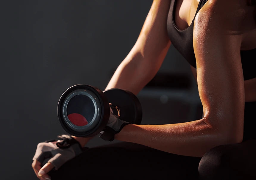 <h2>Ideal para:</h2>