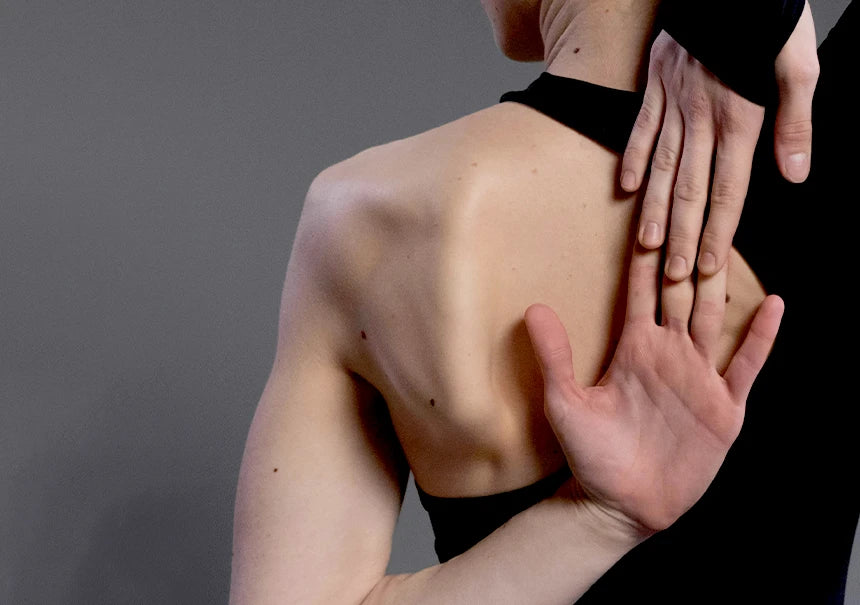 <h2>Ideal para:</h2>