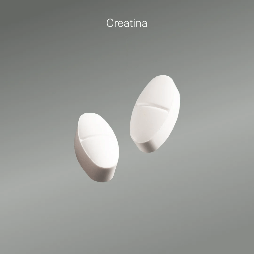 Creatina Monohidratada - Aldous - ES