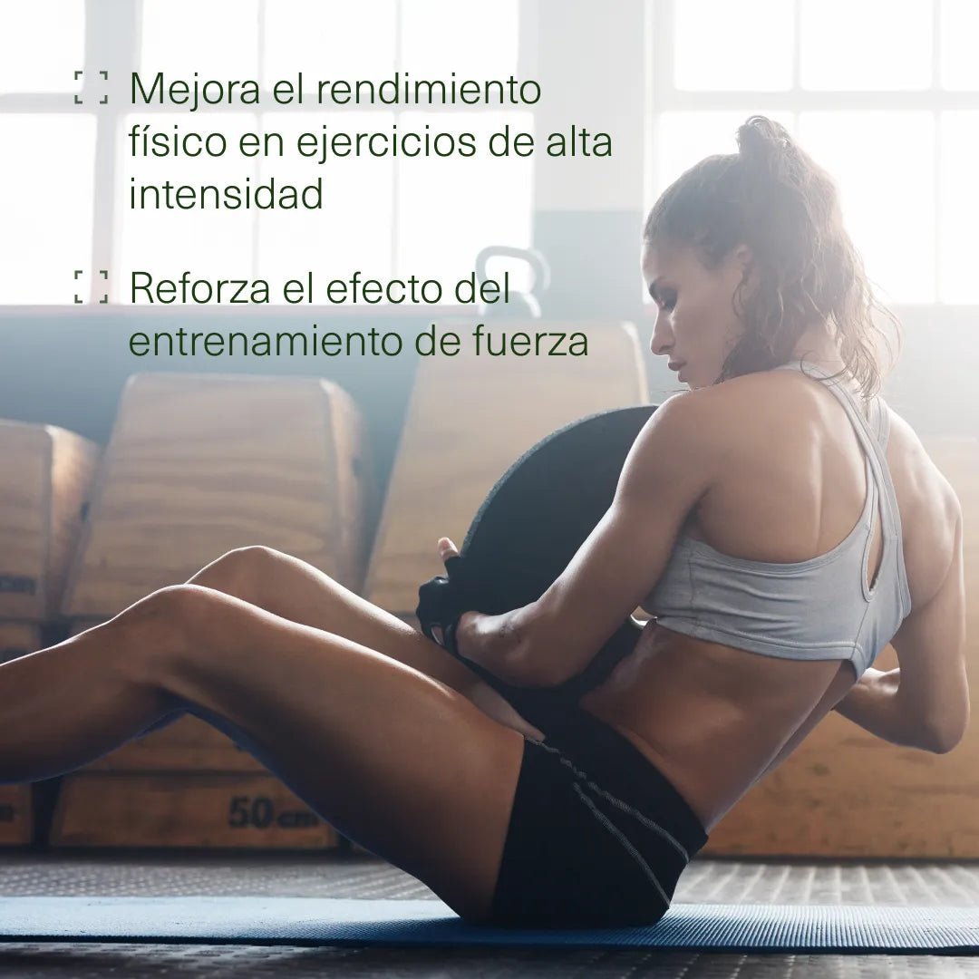 Pack Energía - Aldous - ES