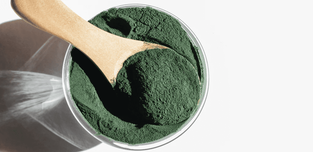 Contraindicaciones de la Chlorella - Aldous - ES