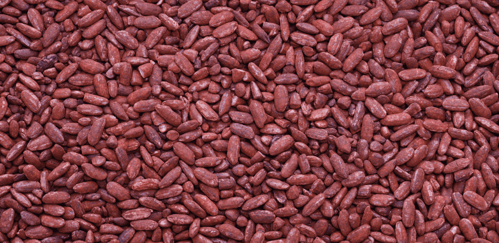 Contraindicaciones de la levadura de arroz rojo - Aldous Bio