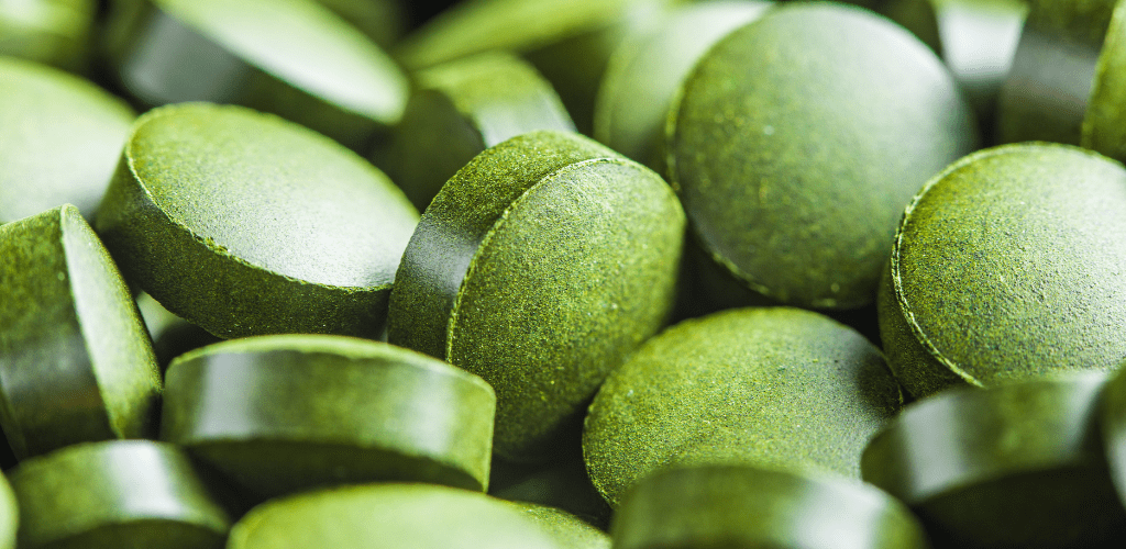 Qué es y para qué sirve la chlorella - Aldous - ES