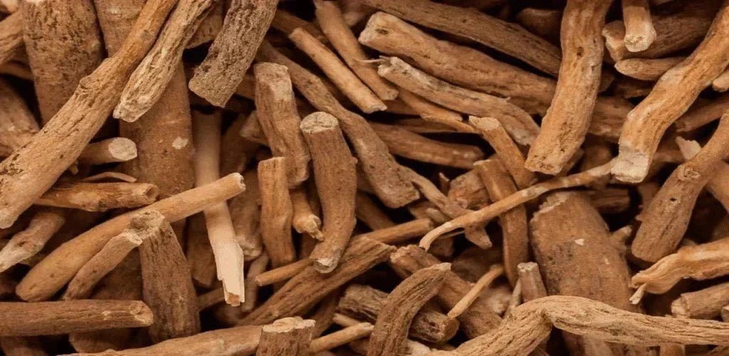 ¿Qué planta es la ashwagandha? - Aldous - ES