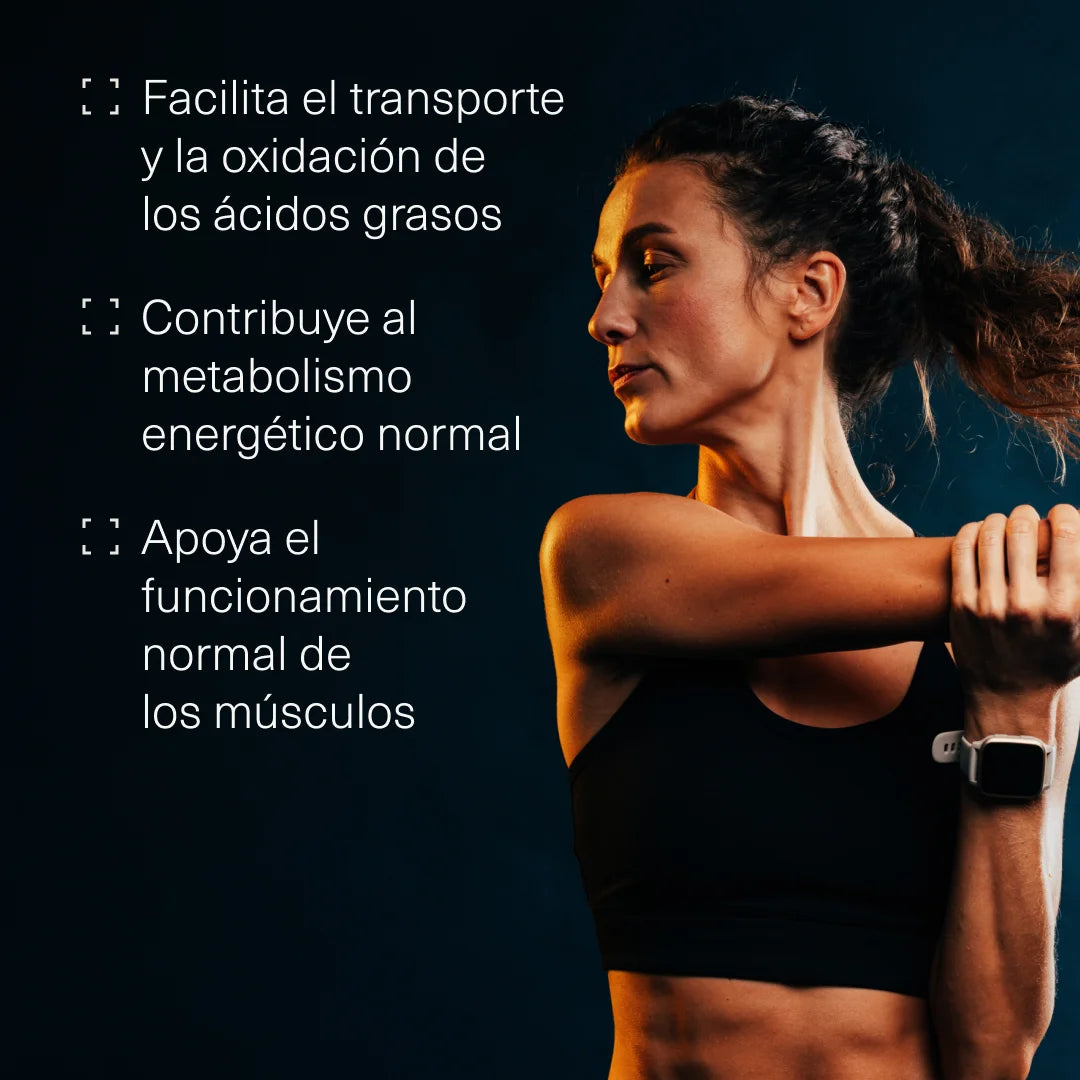 L-Carnitina | Potencia tu rendimiento y tu metabolismo L-Carnitina | Potencia tu rendimiento y tu metabolismo