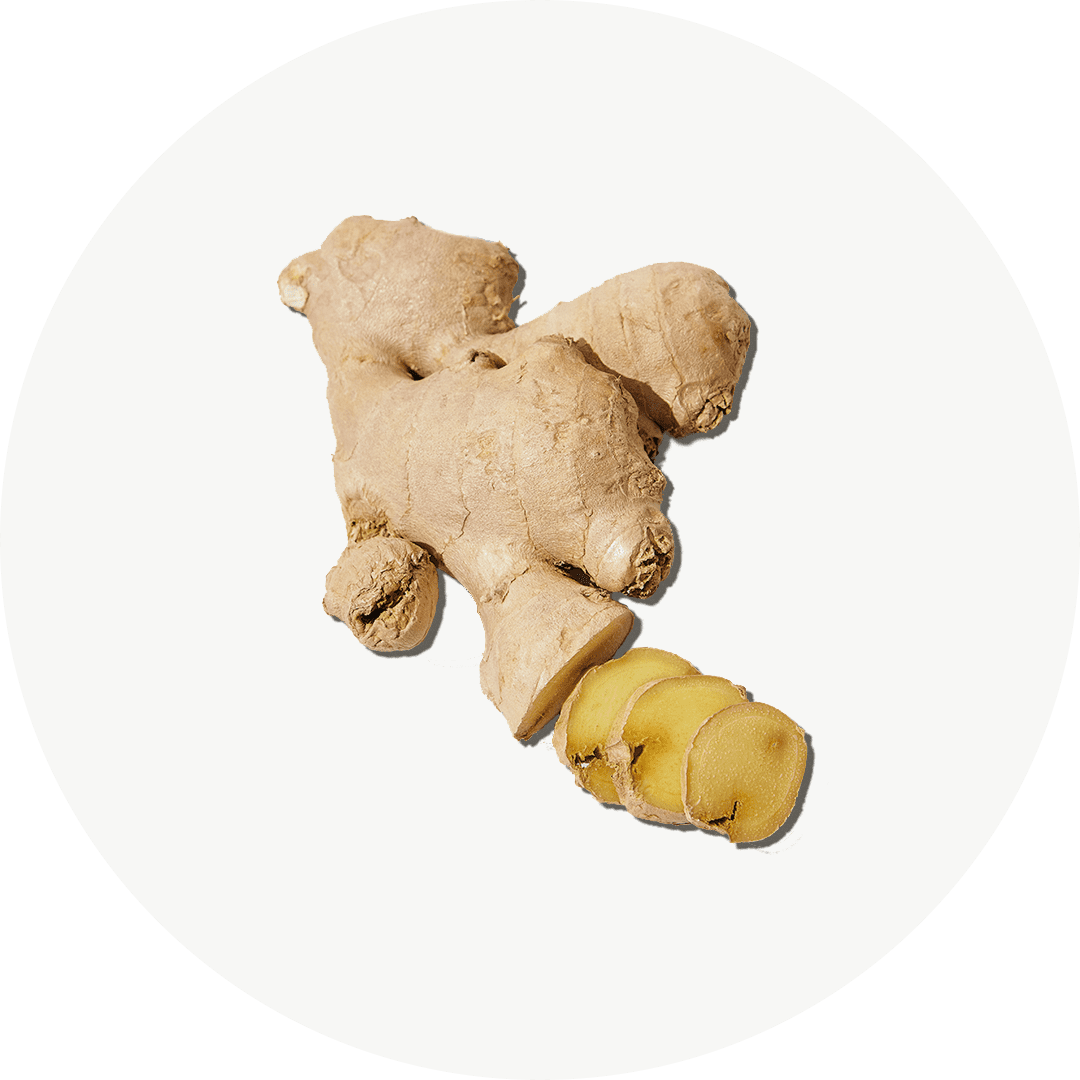 Cúrcuma con Jenjibre