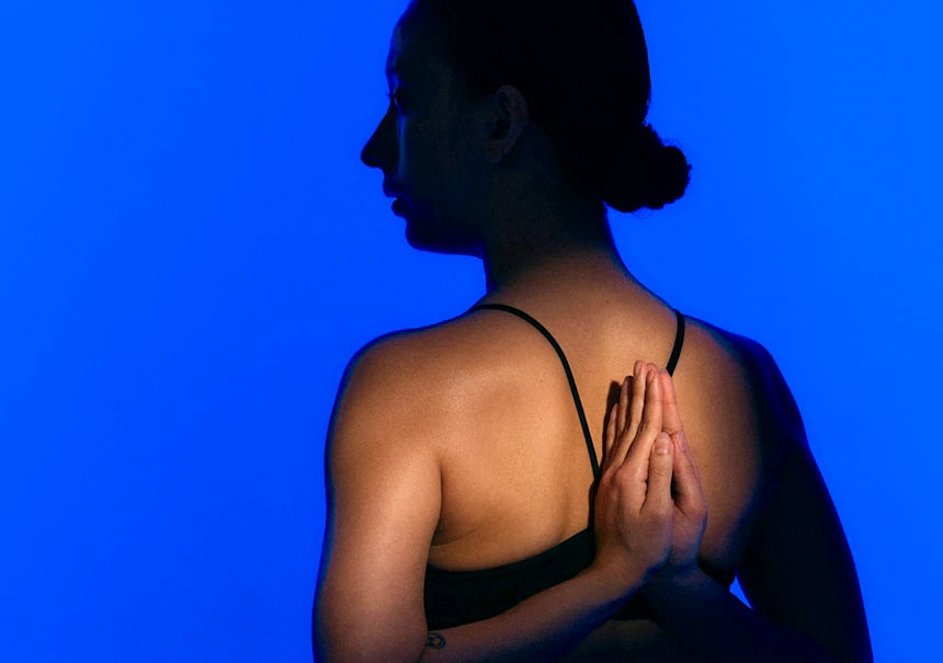 <h2>Ideal para:</h2>