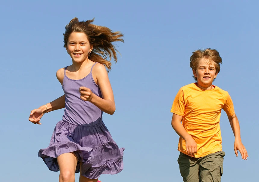 <h2>Ideal para:</h2>