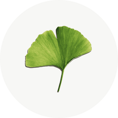 Ginkgo Biloba