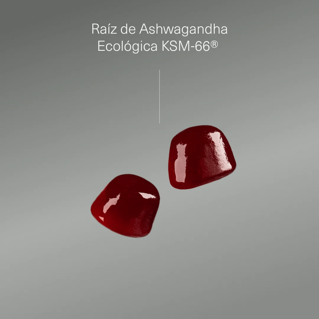 Ashwagandha en gominolas - Aldous - ES