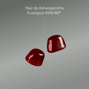 Ashwagandha en gominolas - Aldous - ES