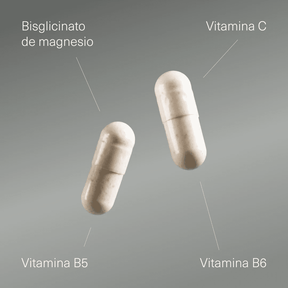 Bisglicinato de Magnesio con Vitamina B5, B6 y C - Aldous - ES