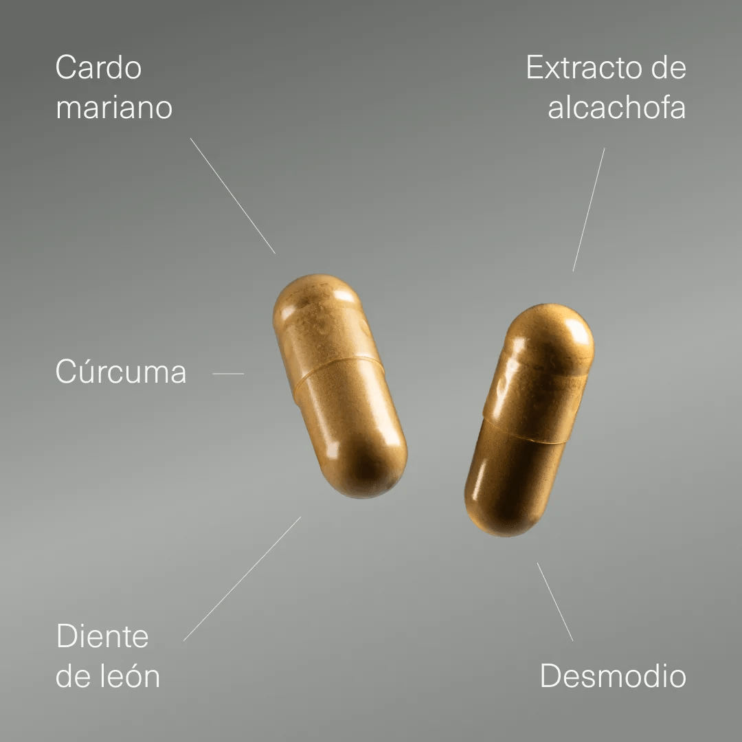 Cardo Mariano con Alcachofa, Cúrcuma, Diente de León y Desmodium - Aldous - ES