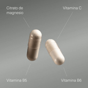 Citrato de magnesio con Vitamina C, B5 y B6 - Aldous - ES