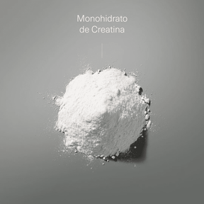 Creatina en Polvo 200 Mesh - Aldous - ES