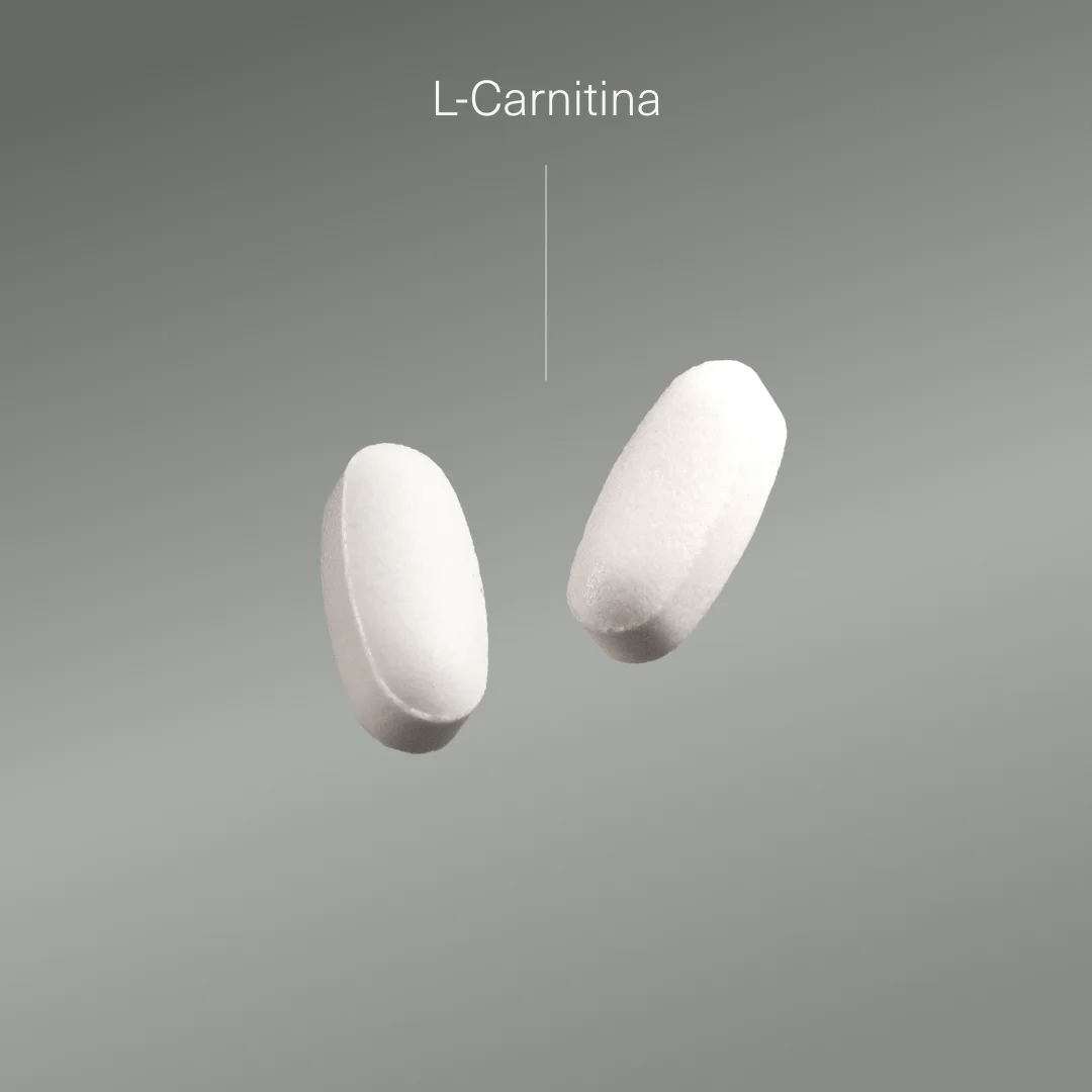 L-Carnitina | Potencia tu rendimiento y tu metabolismo L-Carnitina | Potencia tu rendimiento y tu metabolismo