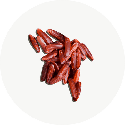 Levadura de Arroz Rojo