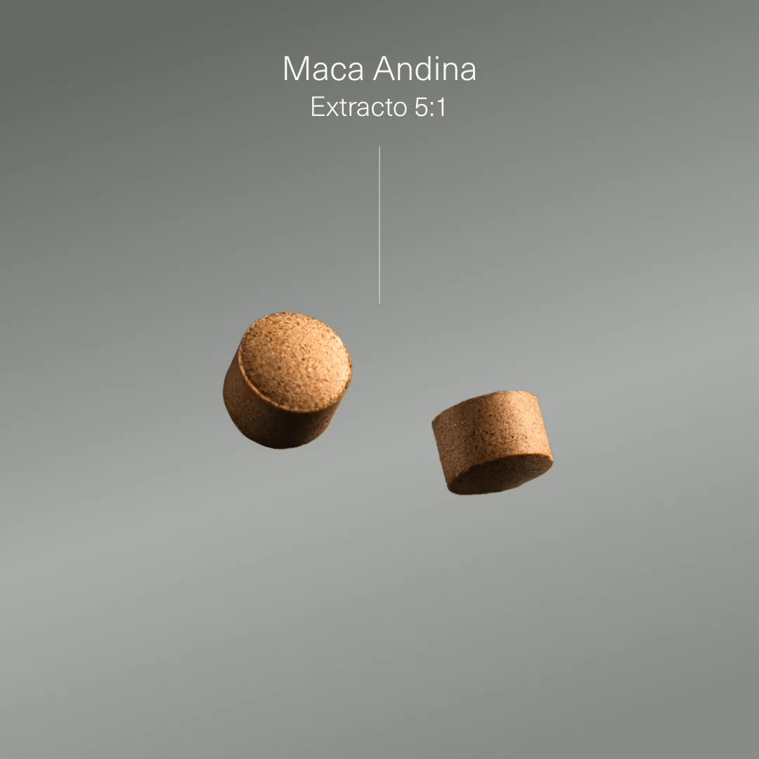 Maca Andina Ecológica Altamente Concentrada - Aldous - ES