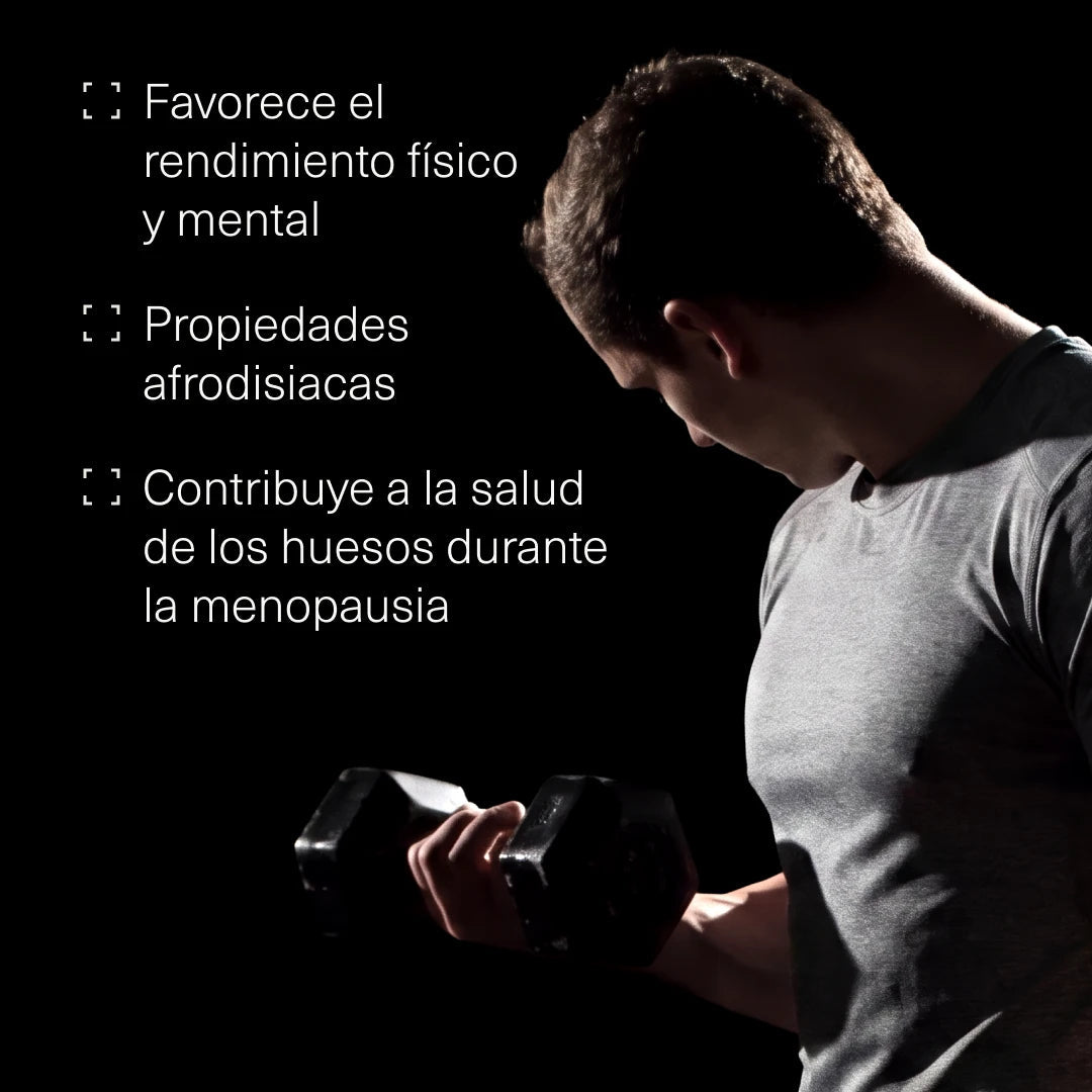 Maca negra con L-Arginina, Zinc y Vitaminas - Aldous - ES