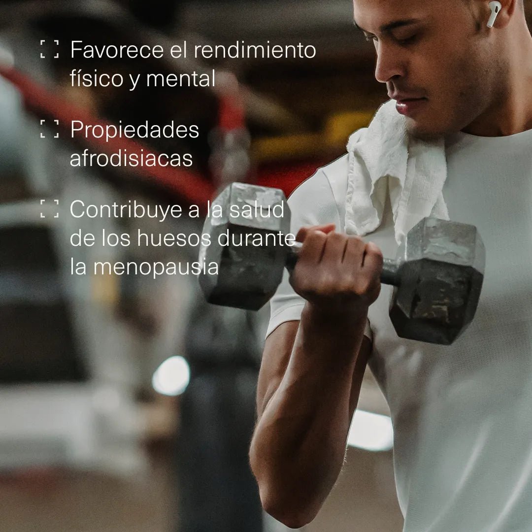 Maca negra con L - Arginina, Zinc y Vitaminas - Aldous - ES