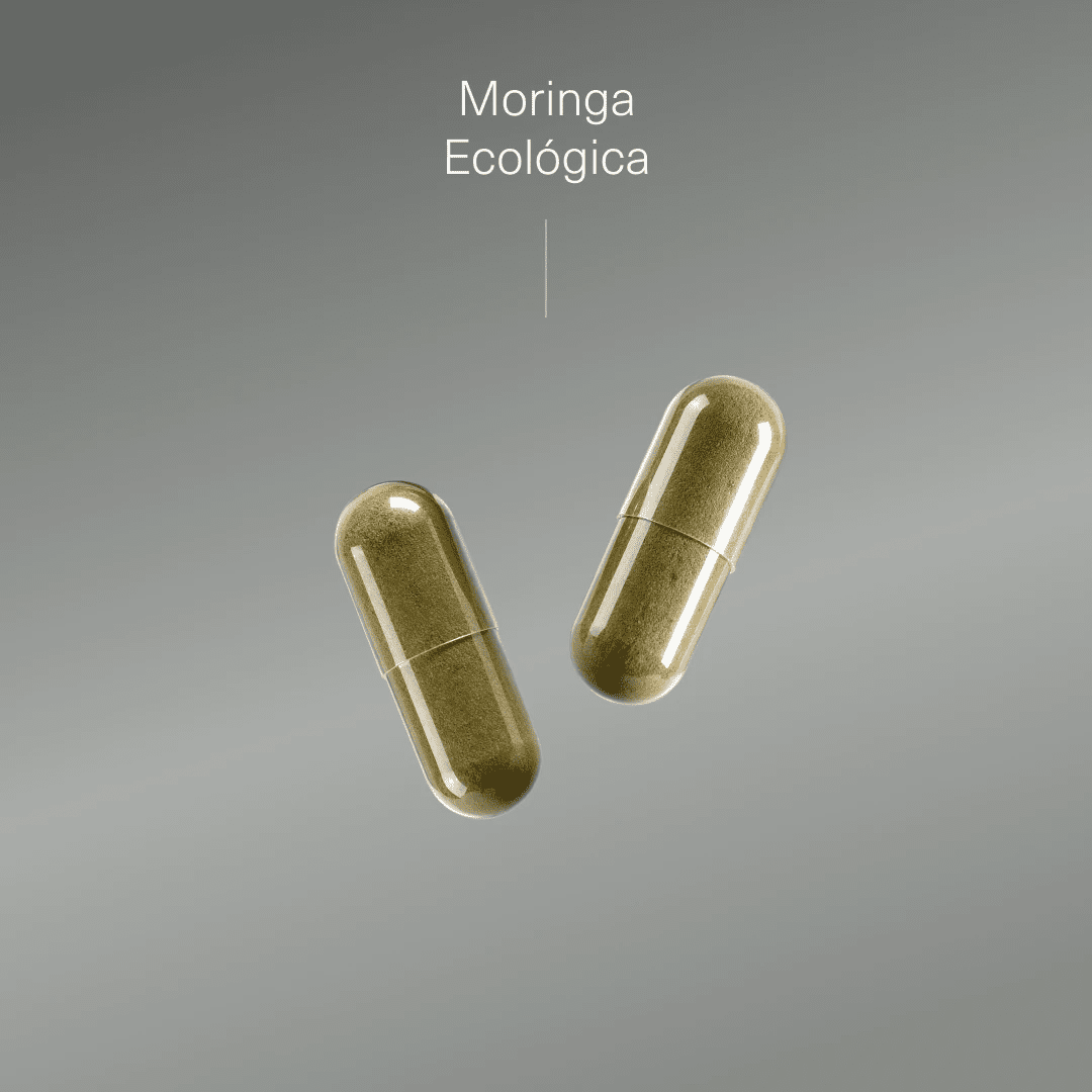 Moringa Ecológica - Aldous - ES