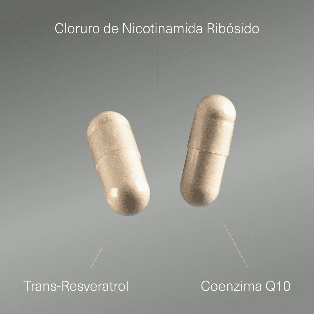 NAD+ con Resveratrol - Aldous - ES