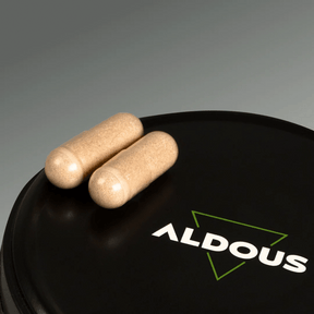 Nootrópico con Ginkgo Biloba, Melena de León, Cafeína, Bacopa, Tirosina, Teanina y Huperzia Serrata - Aldous - ES