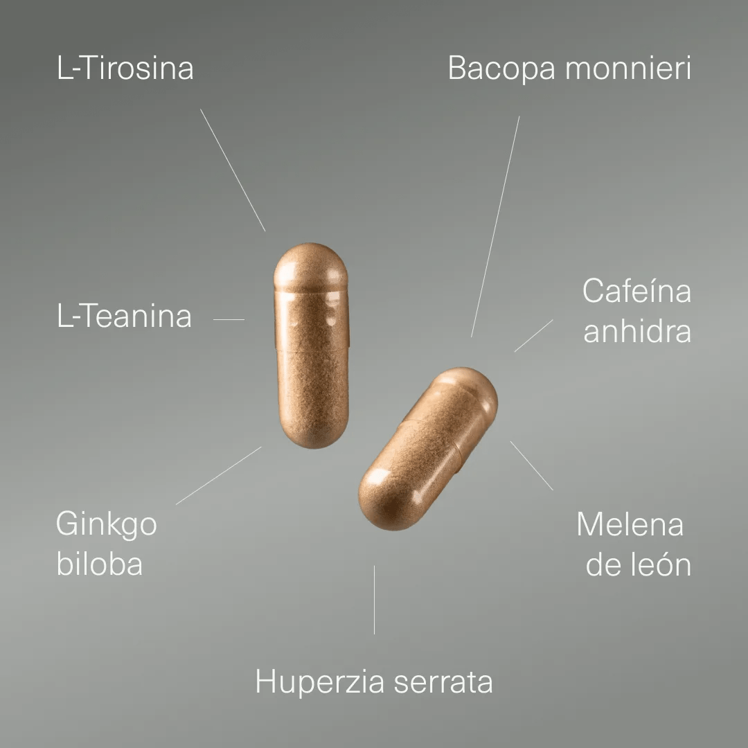 Nootrópico con Ginkgo Biloba, Melena de León, Cafeína, Bacopa, Tirosina, Teanina y Huperzia Serrata - Aldous - ES