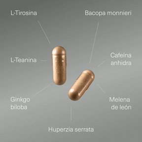 Nootrópico con Ginkgo Biloba, Melena de León, Cafeína, Bacopa, Tirosina, Teanina y Huperzia Serrata - Aldous - ES