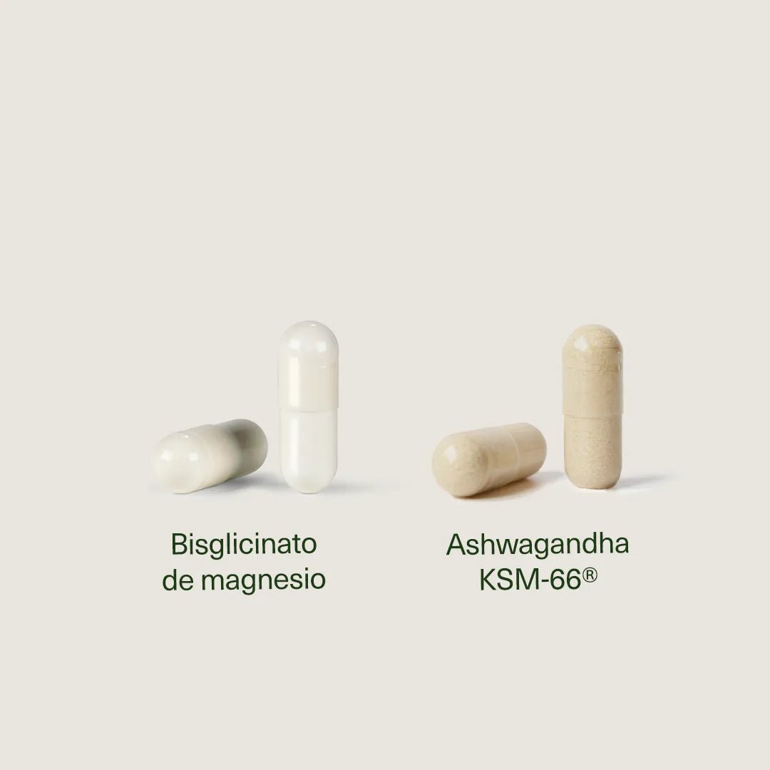 Pack Bisglicinato de Magnesio con Vitaminas + Ashwagandha KSM - 66 ® - Aldous Bio