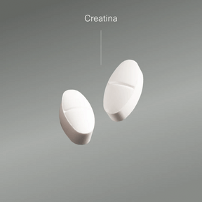 Pack Creatina Monohidratada + Bisglicinato de Zinc - Aldous - ES