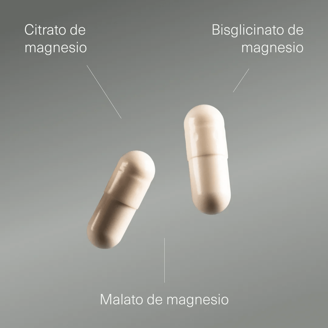 Pack de Triple Magnesio, L - Carnitina y Creatina Monohidratada - Aldous - ES