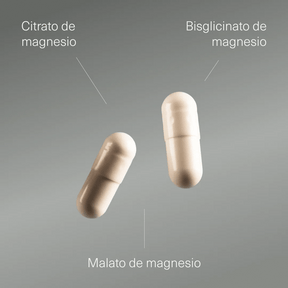 Pack de Triple Magnesio, L - Carnitina y Creatina Monohidratada - Aldous - ES