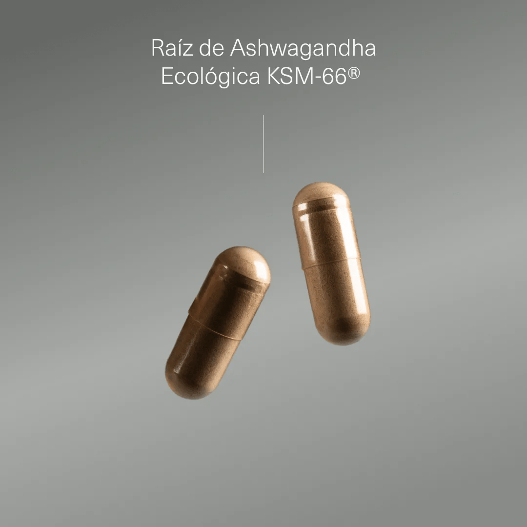Pack Triptófano Puro + Ashwagandha KSM - 66 ® Ecológica - Aldous - ES