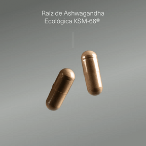 Pack Triptófano Puro + Ashwagandha KSM - 66 ® Ecológica - Aldous - ES