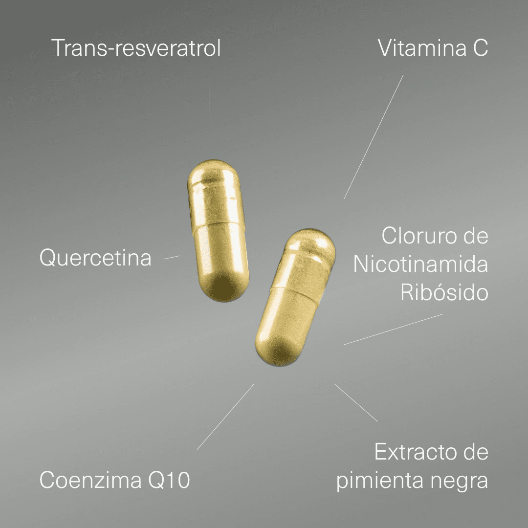 Resveratrol - Aldous - ES